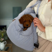 Hunde bilsæde