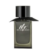Burberry – Mr Burberry Eau de Parfum – 100 ml